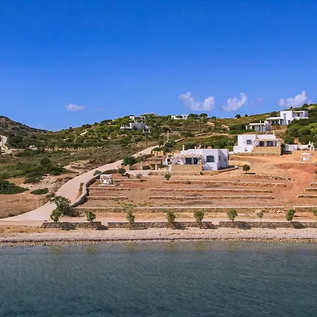 Vasiliki *
